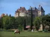 Castillo de Biron - Castillo, los árboles y los caballos en un prado, en el Périgord