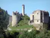 Castillo de Boulogne - Restos del castillo