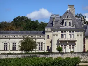 Castillo de Brézé - Castillo renacentista, las vides y los árboles