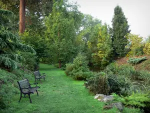 Castillo de Brissac - Castle Garden: bancos a lo largo del río, césped, árboles y arbustos, en Brissac-Quincé