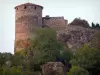 Castillo de Busséol - Castillo de la Torre