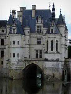 Castillo de Chenonceau - Castillo renacentista (Castillo de los Ángeles) y River (Cher)