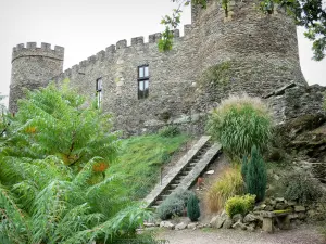 Castillo de Chouvigny - Castillo medieval y su entorno decorado con plantas, en el valle de Sioule (Sioule desfiladero)