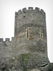 Castillo de Chouvigny - Torre almenada del castillo medieval, en el valle de Sioule (Sioule desfiladero)