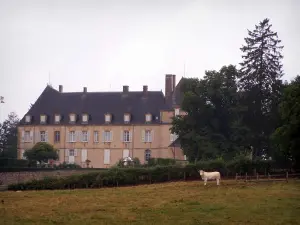 Castillo de Drée - Fachada del castillo, los árboles, las vacas en un prado en Curbigny