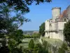 Castillo de Duras - Castillo y su torre con vistas al paisaje de los alrededores