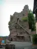 Castillo de Haut-Barr - Puntos de vista y gran roca