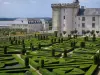 Castillo y jardines de Villandry - Mantenga los adornos de castillo y el jardín