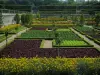 Castillo y jardines de Villandry - Las flores y verduras de la huerta