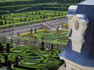 Castillo y jardines de Villandry - Parte del castillo con vistas al jardín (planta ornamental de jardín y huerto)
