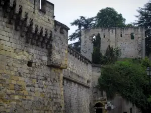 Castillo de Langeais - Murallas de la Fortaleza y las ruinas (ruinas) de la mazmorra