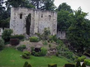 Castillo de Langeais - Los restos mortales (ruinas) de la mazmorra, arbustos y árboles