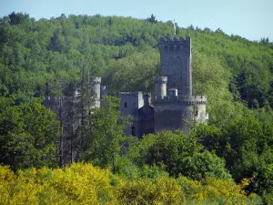 Castillo de Montbrun - Dungeon y las torres de la fortaleza, árboles y flores de escoba, en el Natural Regional del Périgord-Limousin
