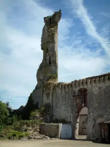 Castillo de Montépilloy - Ruinas (torre) del castillo
