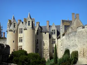 Castillo de Montreuil-Bellay - Castillo