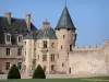 El castillo de La Palice - Guía turismo, vacaciones y fines de semana en Allier