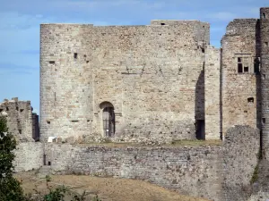 Castillo de Portes - Fortaleza medieval, en la región de Cevennes