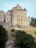 Castillo de Portes - Fortaleza medieval y bastión del Renacimiento, por debajo de los árboles, en la región de Cevennes