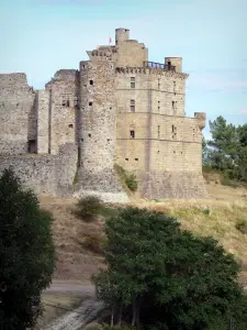 Castillo de Portes - Fortaleza medieval y bastión del Renacimiento, por debajo de los árboles, en la región de Cevennes