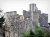 El castillo de Rochemaure - Guía turismo, vacaciones y fines de semana en Ardèche