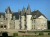 Castillo de Rocher - Vista del castillo y su patio, los Mézangers comunes