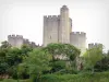 Castillo de Roquetaillade - Dungeon y el castillo de torres de nueve en una zona verde