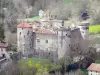 El castillo de Saint-Vidal - Guía turismo, vacaciones y fines de semana en Alto Loira