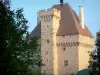 Castillo de la Souche - Mantenga el castillo de la cepa, en la ciudad de Doyet