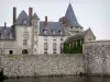 El castillo de Sully-sur-Loire - Guía turismo, vacaciones y fines de semana en Loiret