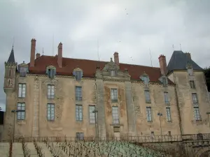 Castillo de Vendeuvre-sur-Barse - Fachada del castillo
