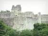 Castillo de Ventadour - Los restos de la fortaleza medieval; en el municipio de Moustier-Ventadour