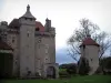 Castillo de Villemonteix - Castillo y árbol