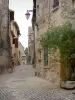 Castillon-du-Gard - Calle pavimentada, casas de piedra y arbustos en flor