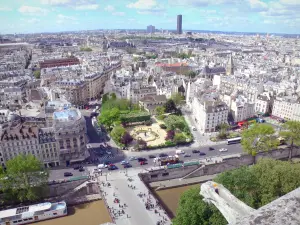 Catedral Notre-Dame de Paris - Vista panorámica de París desde lo alto de la torre sur de la catedral