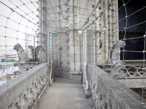 Catedral Notre-Dame de Paris - Las estatuas de la galería de quimeras