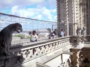 Catedral Notre-Dame de Paris - Quimeras Galería y estatuas