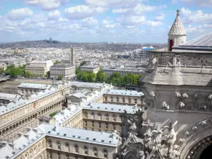 Catedral Notre-Dame de Paris - Vista panorámica de la ciudad de París desde las alturas de la catedral