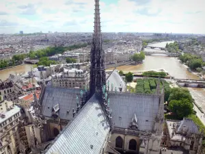 Catedral Notre-Dame de Paris - Vista de la torre de la catedral, el Sena y los tejados de París