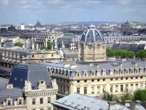 Catedral Notre-Dame de Paris - Vista de París y la cúpula del Tribunal de Comercio de las alturas de la catedral