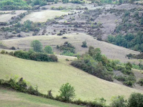 Causse du Larzac - Larzac plateau, in het Regionaal Natuurpark van de Causses: landschap van heide en droge graslanden (steppen)