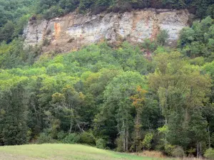 Causse du Larzac - Larzac plateau, in het Regionaal Natuurpark van de Causses: bomen aan de voet van de kliffen