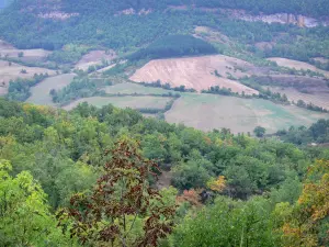 Causse du Larzac - Larzac plateau, in het Regionaal Natuurpark van de Causses: groene landschap
