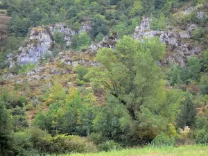 Causse du Larzac - Larzac plateau, in het Regionaal Natuurpark van de Causses: rotswanden in een groene