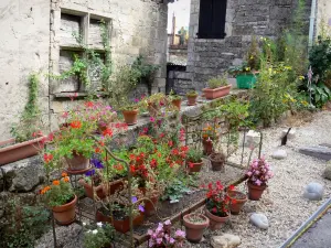 Caylus - Flower pots (flowers)