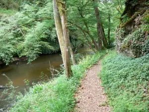 Cazeneuve castle - Castle park: walk along the tree-lined Ciron river