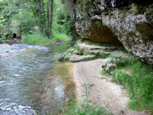 Cazeneuve castle - Castle park - Ciron gorges: walk along the river leading to the cave of the Queen 