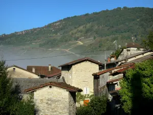 Cerdon - Champs de vignes dominant les maisons du village ; dans le Haut-Bugey