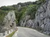 Cévennes National Park - Mountain road lined with rocks and trees; in the mountains of the Aigoual