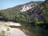 Cèzeの峡谷 - チェズ川、水の端の木々と岩壁