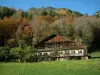 Chablais - Prairie (alpage), arbres, bois coupé, chalet ancien et forêt (arbres) en automne, dans le Haut-Chablais